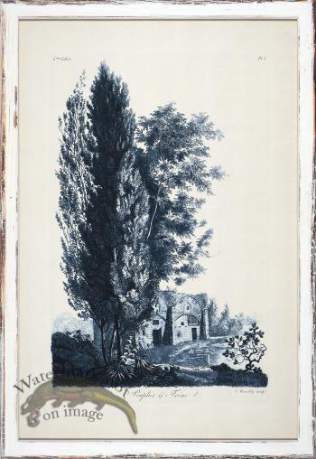 Blue Trees in Distressed White 11